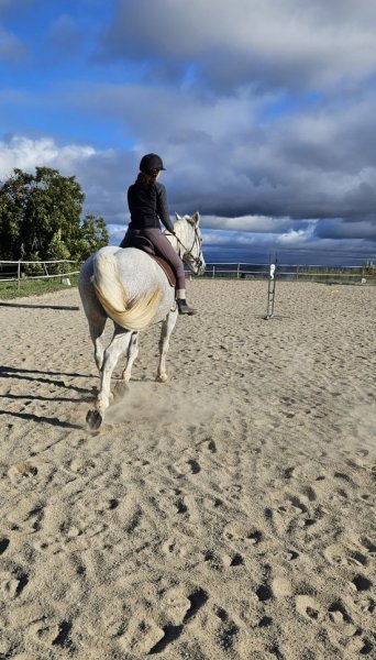 Les Ecuries d'Arion - photo 2