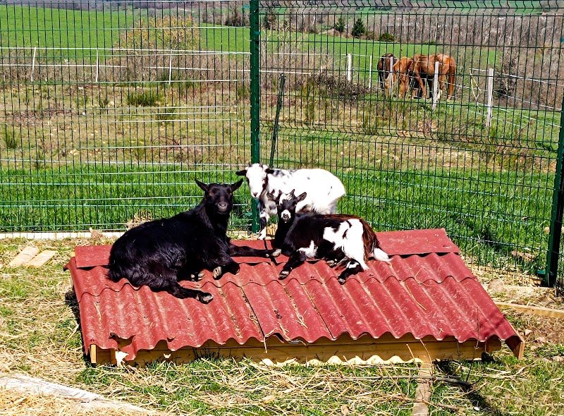 Ferme équestre Jolinka - photo 2
