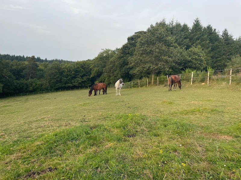 Ferme équestre Jolinka - photo 3