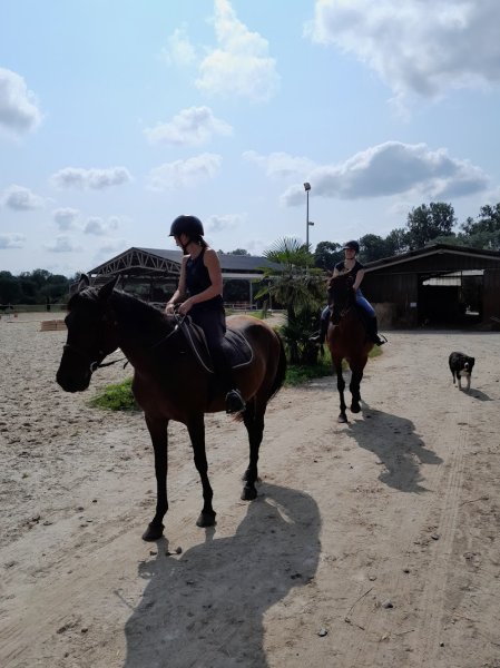 Centre Équestre Des Écuries Du Ga - photo 2
