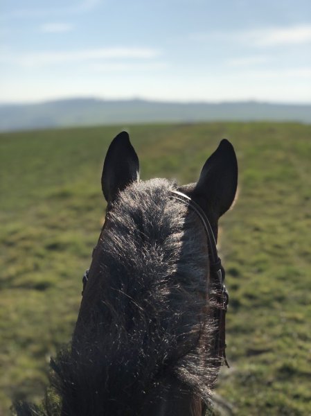 Centre Équestre Des Écuries Du Ga - photo 3