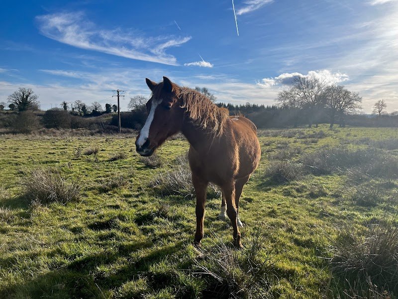 Pension des Ternes - photo 1