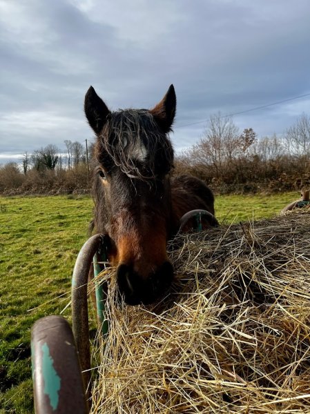 Pension des Ternes - photo 2