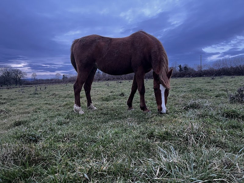 Pension des Ternes - photo 3