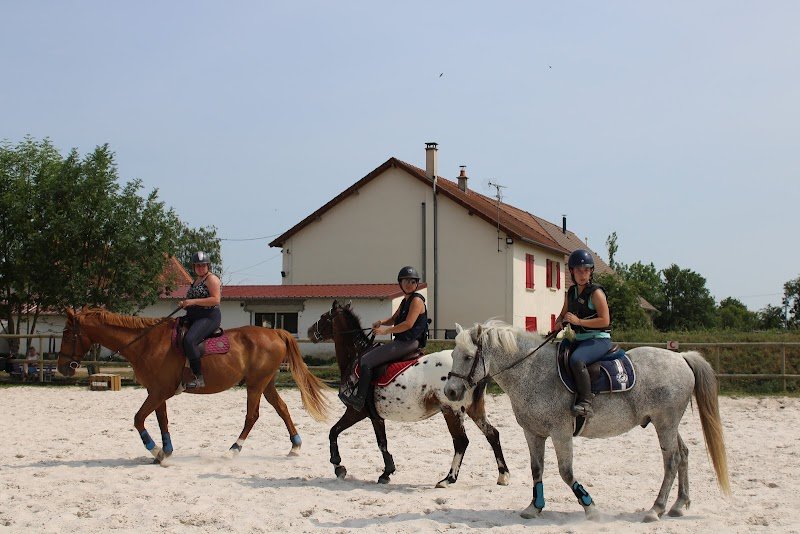 Ecuries de la Bouquetterie - photo 2