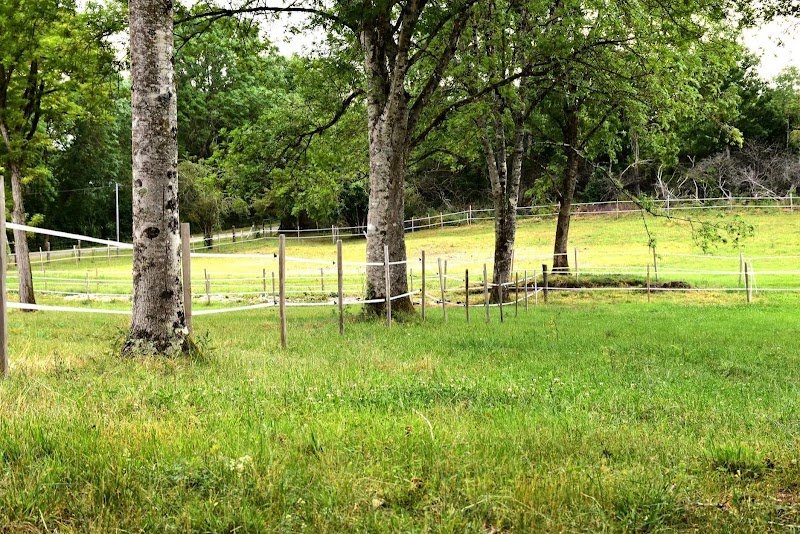 DOMAINE DES PERRIERES - Centre de Médiation Animale & Pension chevaux, Ecurie