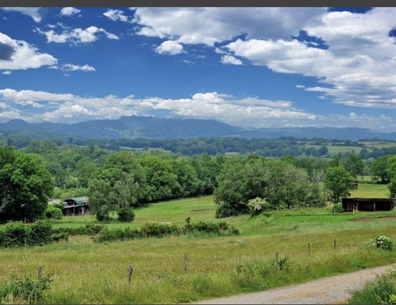 Écurie de Thaël - photo 3