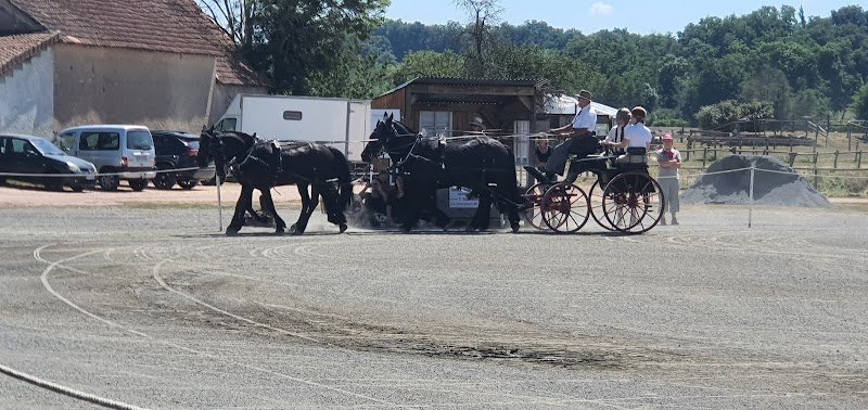 ECURIE DES BERGERS - photo 2
