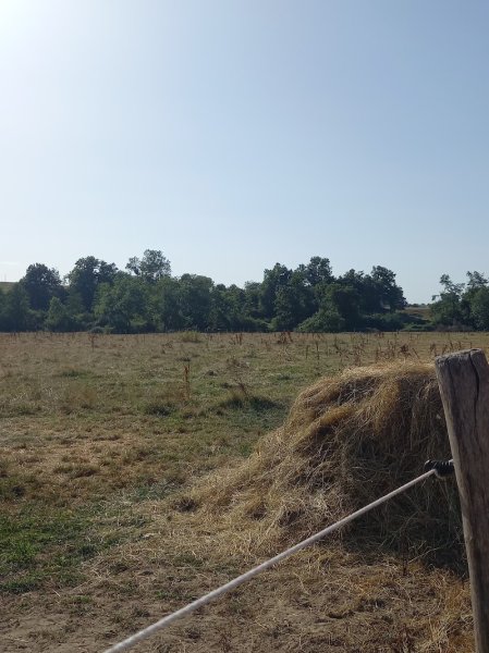 ECURIE DES BERGERS - photo 3