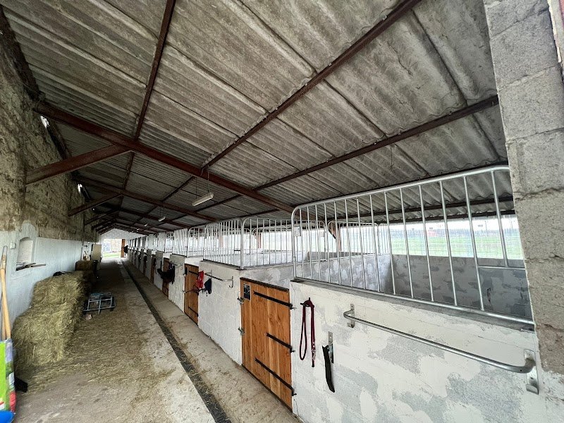 Ecurie des dards - photo 2