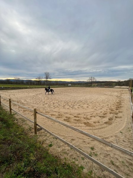 Ecurie des dards - photo 3