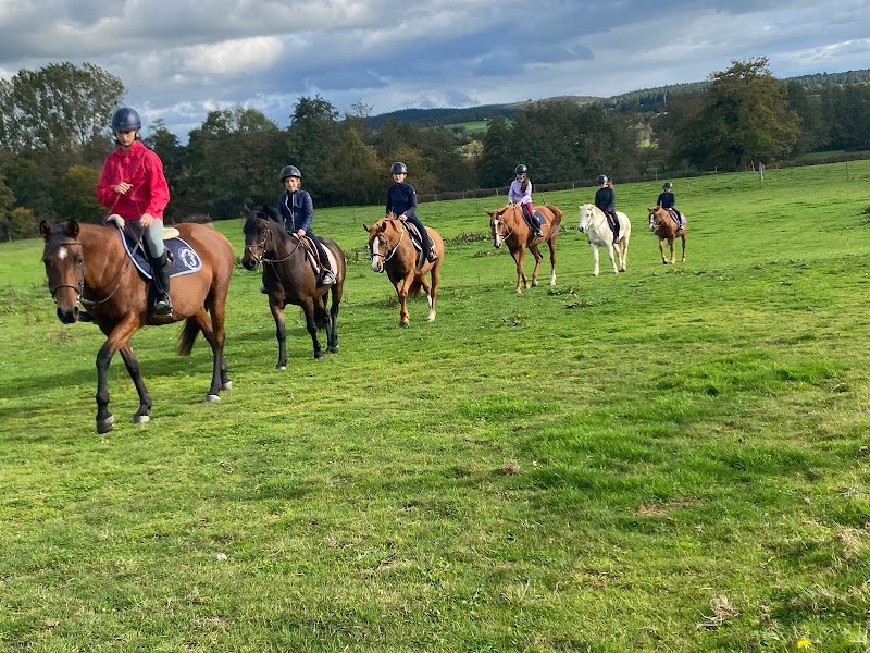 CENTRE EQUESTRE ELEVAGE FRENCHY - photo 1