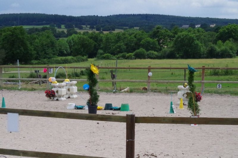 CENTRE EQUESTRE ELEVAGE FRENCHY - photo 2