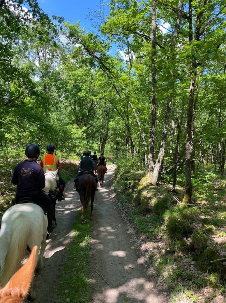 CENTRE EQUESTRE ELEVAGE FRENCHY - photo 3