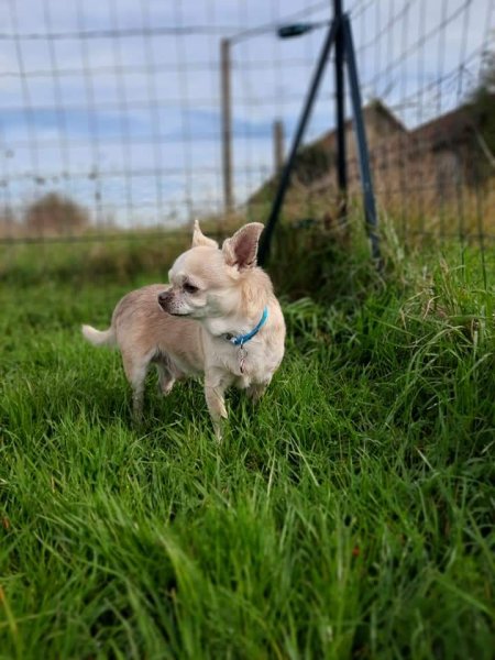 Pension de la Terre du Milieu - photo 2