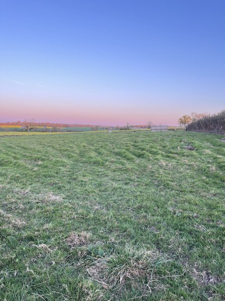 Ecuries Antoine Lombard - photo 2