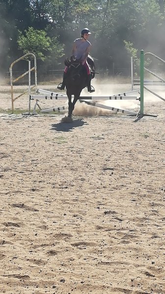 Écurie des champs brûlés