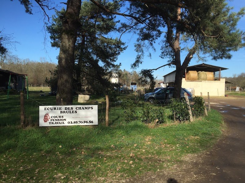 Écurie des champs brûlés - photo 3