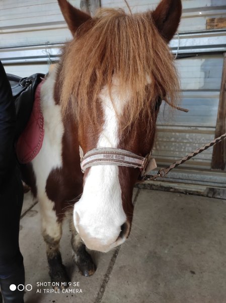 Les Ecuries de Dreuille - photo 2