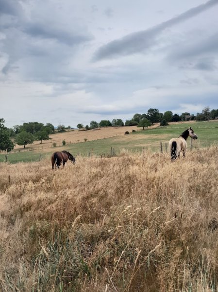 Le Pré Du Roy Écurie De Propriétaires - photo 2