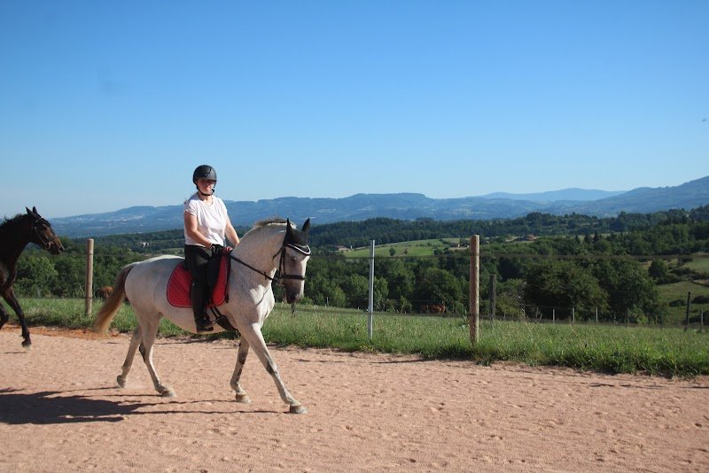 Le Pré Du Roy Écurie De Propriétaires - photo 3