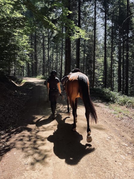 Centre équestre et écurie Entre Ciel et Terre - photo 1