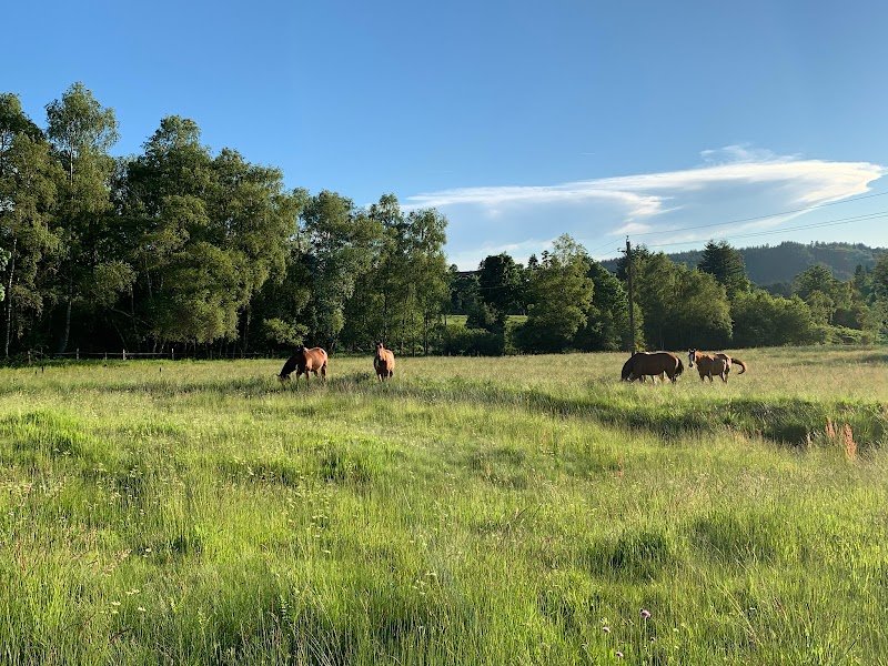 Centre équestre et écurie Entre Ciel et Terre - photo 2