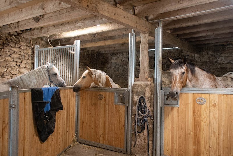 Centre équestre et écurie Entre Ciel et Terre - photo 3