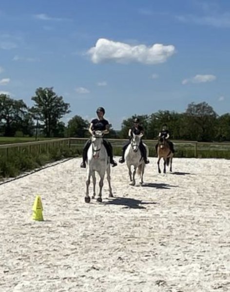 écuries centre équestre de Montpensier