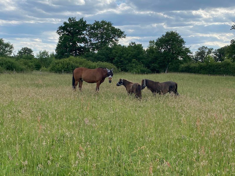Les Ecuries Du Trian