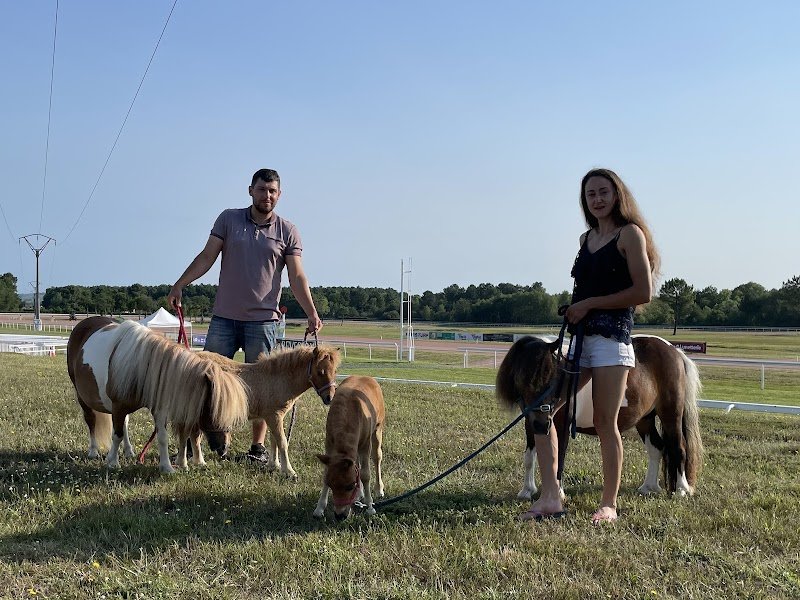 Les Ecuries Du Trian - photo 3