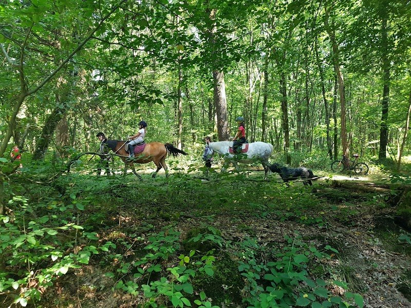 Centre Equestre Des Rollats - photo 2