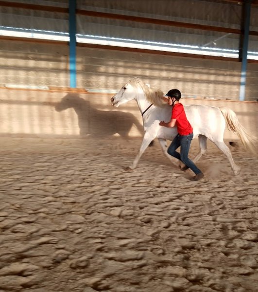 Centre Equestre Des Rollats - photo 3