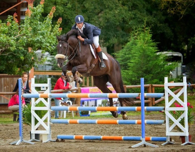 Les Ecuries Du Vernet - photo 1