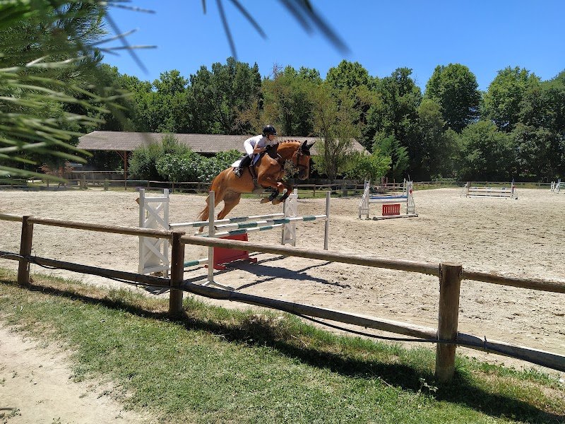 Les Ecuries Du Vernet - photo 2