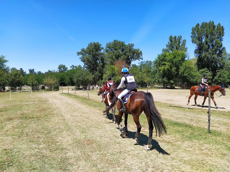 Les Ecuries Du Vernet - photo 3