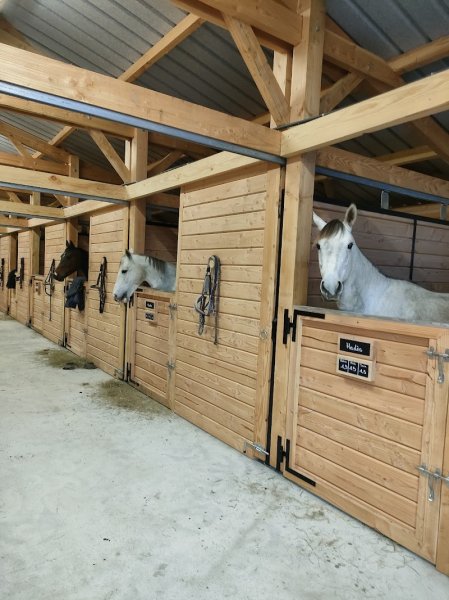 centre équestre BYCLAS - photo 2