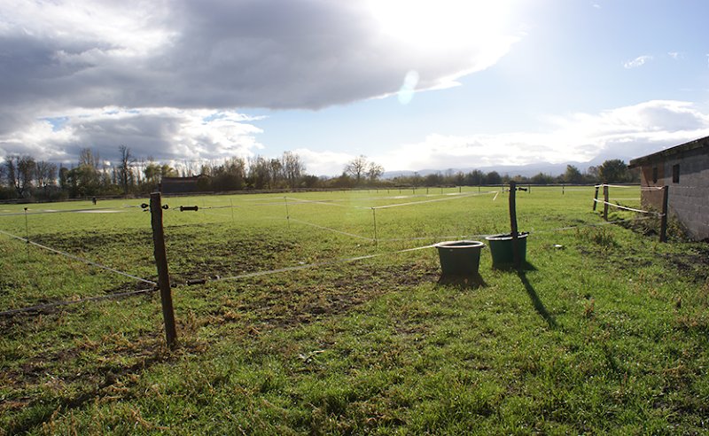 Pension les Pressards - photo 3