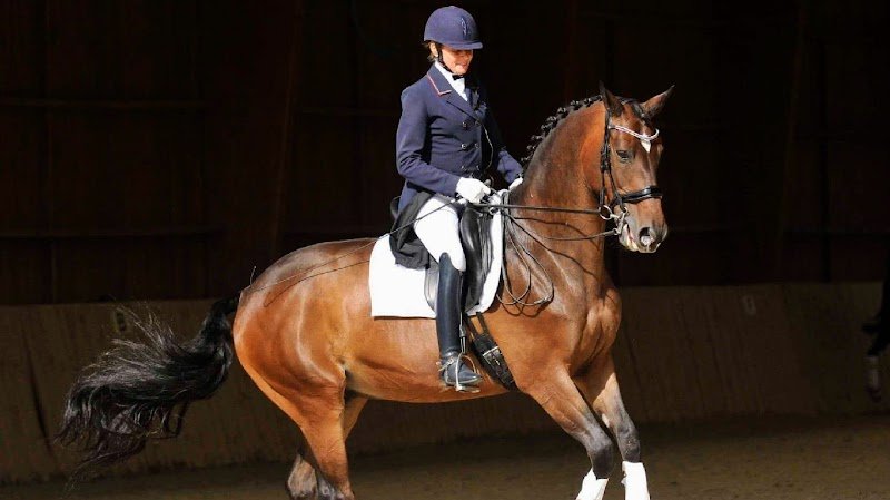 Ecurie du Centre Equestre du Bien Aller