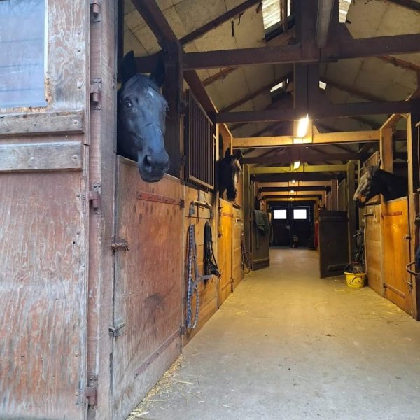 Ecurie du Centre Equestre du Bien Aller - photo 2