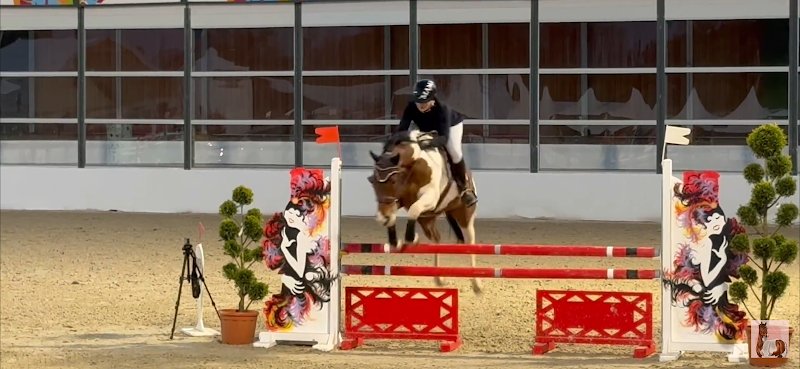 Les Ecuries Des Lichères - photo 1