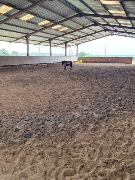 Les Ecuries Des Lichères - photo 2