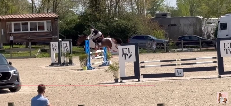 Les Ecuries Des Lichères - photo 3