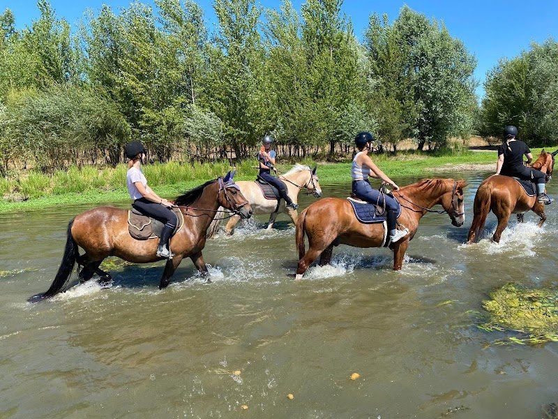 CENTRE EQUESTRE RUDIOBUS