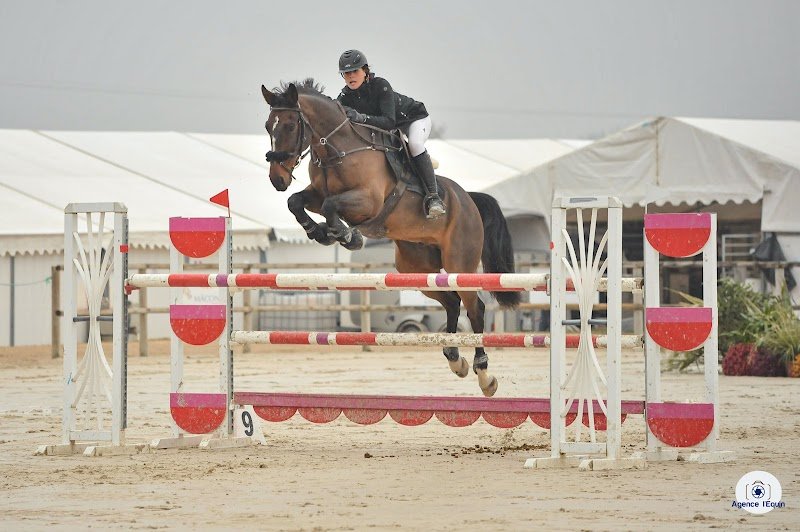 Écurie La Réserve - photo 2