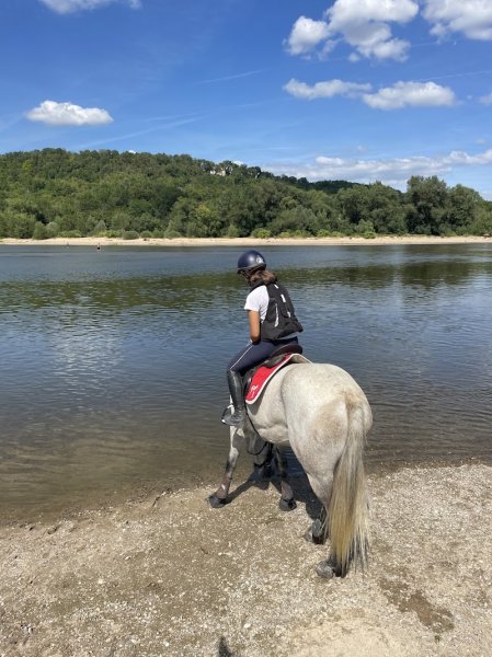 Écurie La Réserve - photo 3