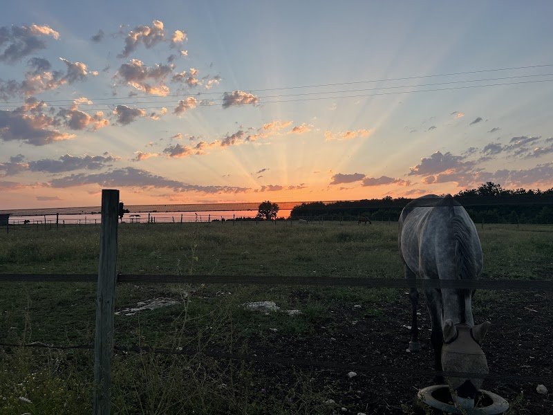 Écurie El Nassim - photo 2
