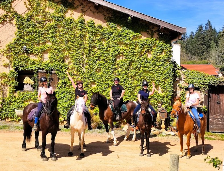 Ecurie de propriétaires de La Billonnière/ Pension chevaux/ Elevage - LOIRE 42- Lentigny/ Roanne - photo 3