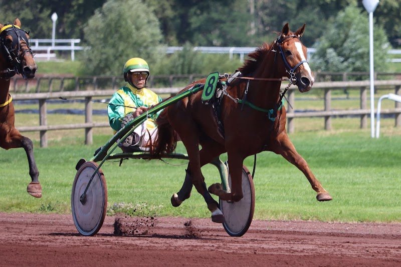 Ecurie Busset Thierry - photo 2