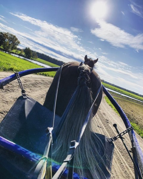 Ecurie Busset Thierry - photo 3